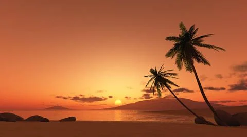 Sunset palm tree An image of a beautiful sunset over the ocean with a palm... Stock-Fotos