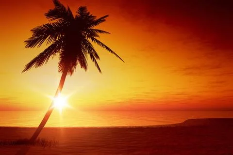 Sunset palm tree An image of a beautiful sunset over the ocean with a palm... Stock-Fotos