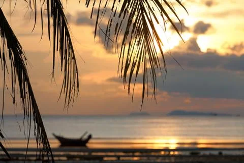 Sunset with palm tree leaves Stock Photos