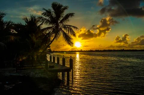 Sunset with palm tree Foto stock