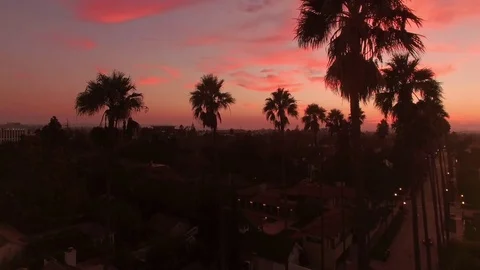 Sunset Palm Trees Aerial Drift above Los Angeles 06 Stock-Footage 71303858