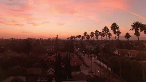 Sunset Palm Trees Aerial Drift above Los Angeles Stock-Footage 71303961