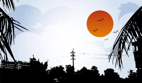 A sunset with palm trees and birds flying over it, branch, sun, sky Stock Illustration