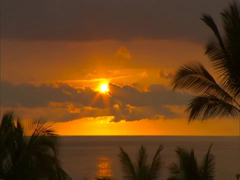 Sunset with Palm Trees Video stock 22243423