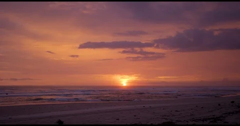 Sunset palm trees Stock Footage 127130855