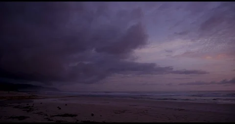 Sunset palm trees Stock Footage 127130858