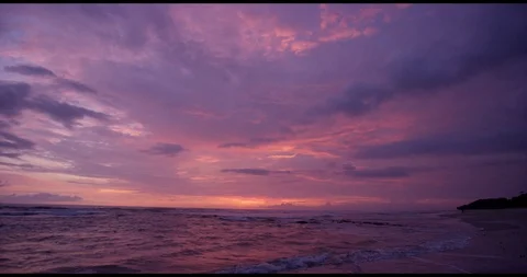 Sunset palm trees Stock Footage 127131336