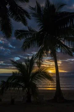 Sunset on palm trees Stock Photos