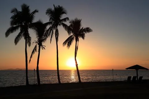 Sunset Palms Photos