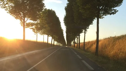 Sunset panorama wheat field n the road Stock Footage 125052892