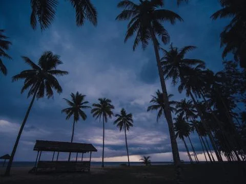 Sunset at Pantai Mangkuk Beach Terengganu Malaysia with Coconut Trees Stock Photos