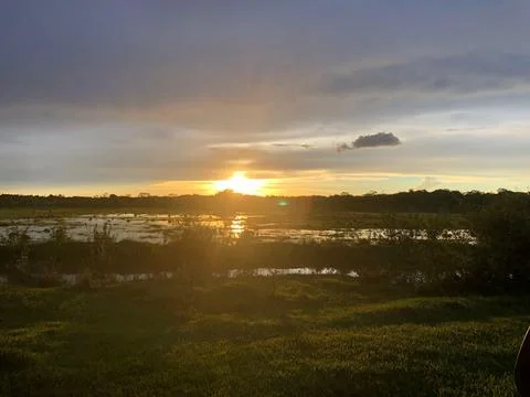 Sunset in the Pantanal Fotos de archivo
