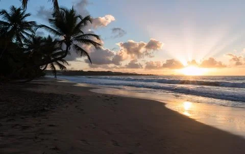 Sunset, paradise beach and palm trees, Martinique island. Stock Photos