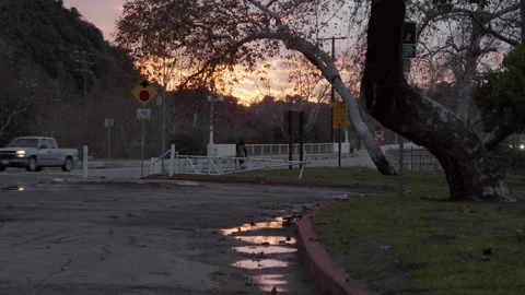 Sunset at the Park After Rain Covid 19, cars, bridge, puddle reflection Alt Stock Footage 147596715