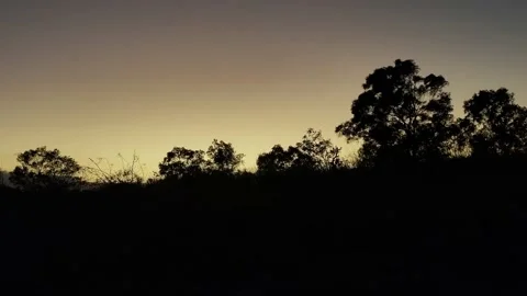 Sunset in the park with a calm breeze Video stock 220530435