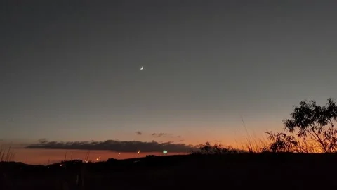 Sunset in the park with a calm breeze Video stock 220530440