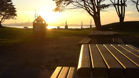 Sunset at the park on the coast 스톡 동영상 99836938