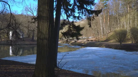 Sunset in the Park in early spring Stock Footage 88562976