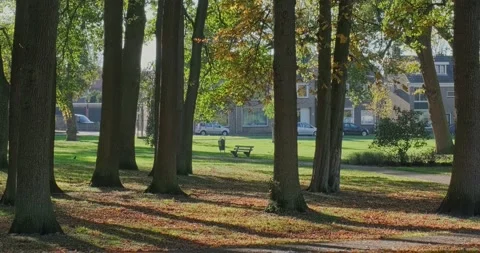 Sunset in the park.  Empty benches. Stock Footage 226251202