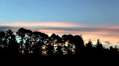 Sunset at the park 库存影片 29341950