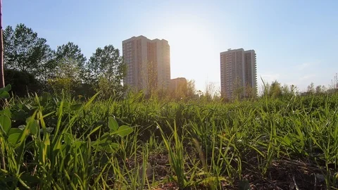 Sunset in the park Stock-Footage 107670524