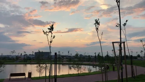 Sunset in the park 库存影片 133535194