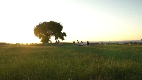 Sunset in the park Stockbeeldmateriaal 137316550