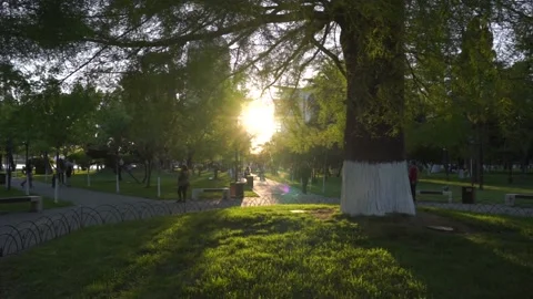Sunset in the park Stock Footage 194532418