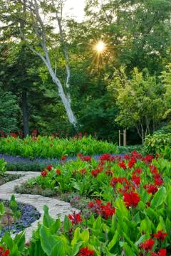 Sunset in the park. Stock Photos