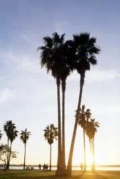 Sunset in park Stock Photos