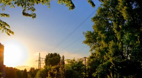 Sunset in park Stock Photos
