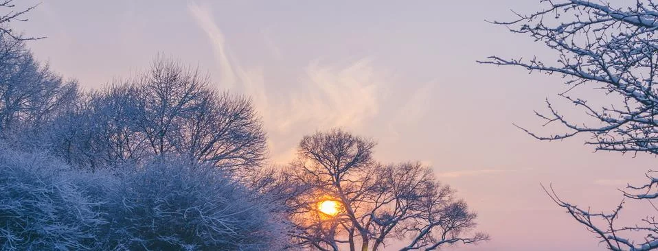 Sunset In The Park Stock Photos