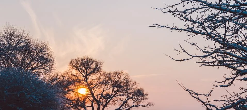 Sunset In park Stock Photos