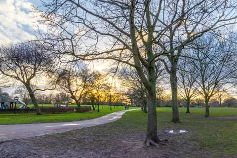 Sunset in the park Stock Photos