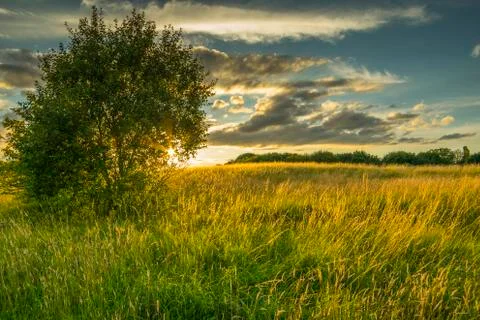 Sunset in park Stock Photos