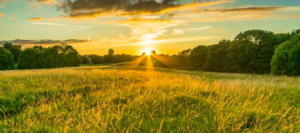 Sunset in park Stock Photos