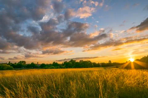 Sunset in park Stock Photos