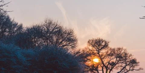 Sunset In Park Stock Photos