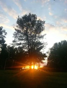 Sunset in the Park. Stock Photos