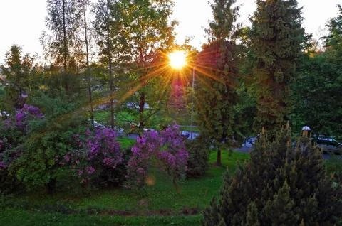 Sunset in park Stock Photos