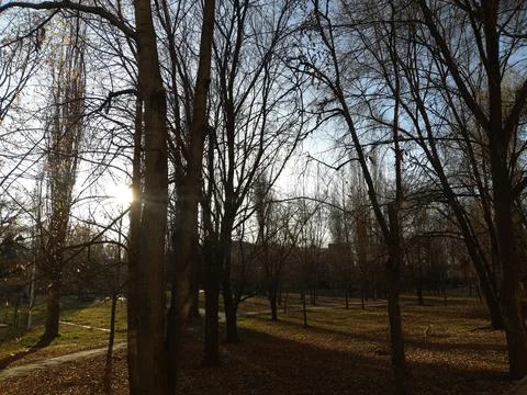 Sunset park 库存照片