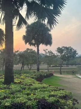 Sunset in the park Stock Photos