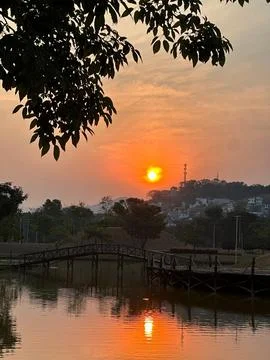Sunset in the park Stock Photos