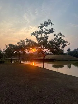 Sunset in the park Stock Photos