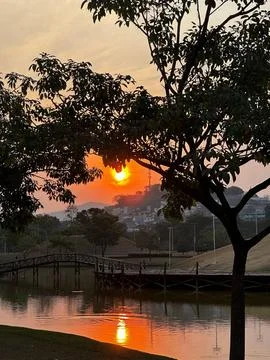 Sunset in the park Stock Photos