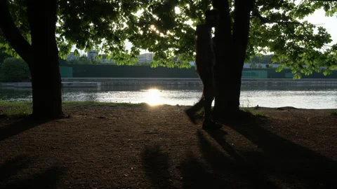 Sunset at park with pond Stockbeeldmateriaal 197167984