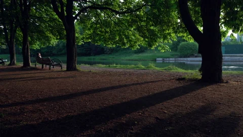 Sunset at park with pond Stockbeeldmateriaal 197168389