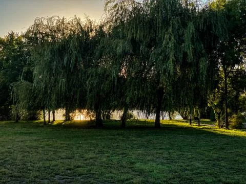 Sunset in the park. Riverside. Stock Photos