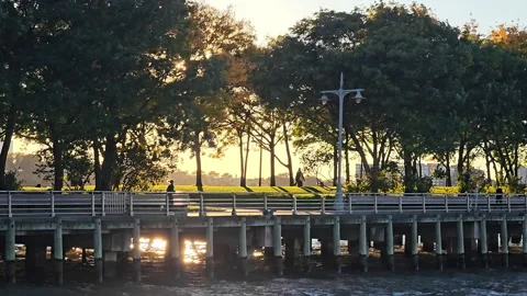 Sunset park scene with trees casting long shadows on a riverside walkway, a Video stock 301336363