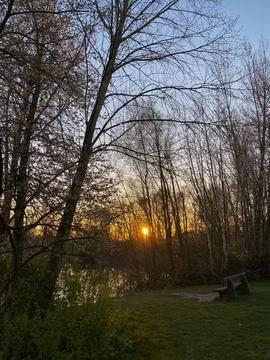 Sunset in a park in spring with trees, benches and grass Stock Photos